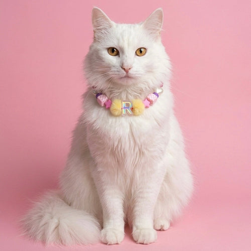 Collar Para Mascota Fucsia