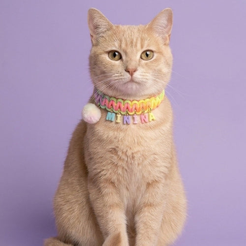 Collar Para Mascota Arcoiris Tejido