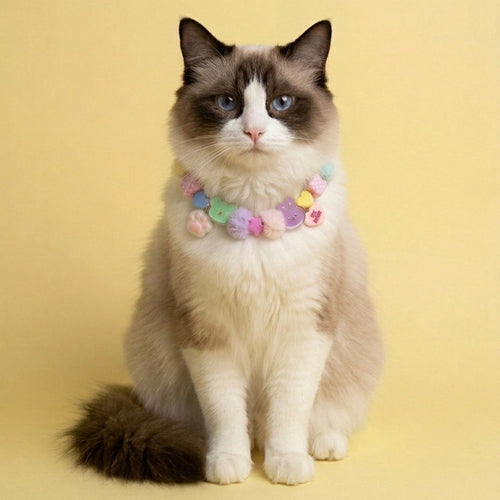Collar Para Mascota Rosa Neón