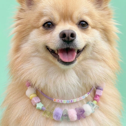 Collar Para Mascota Lila Doble