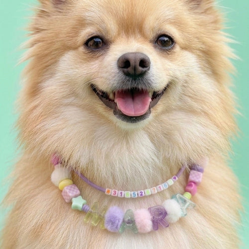 Collar Para Mascota Lila Doble