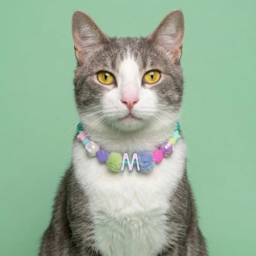Collar Para Mascota Aguamarina