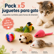 Set x5 Juguetes Surtidos Para Gato
