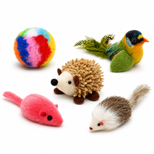 Set x5 Juguetes Surtidos Para Gato