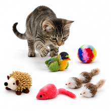 Set x5 Juguetes Surtidos Para Gato