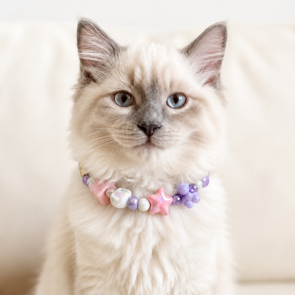 Collar Galletero Morado