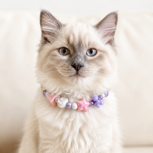 Collar Galletero Morado