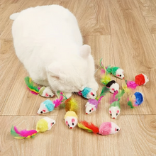 Juguete Ratón con Plumas Set x5