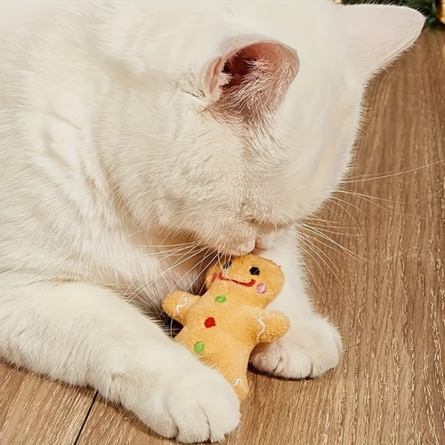 Peluche de Galleta de Jengibre