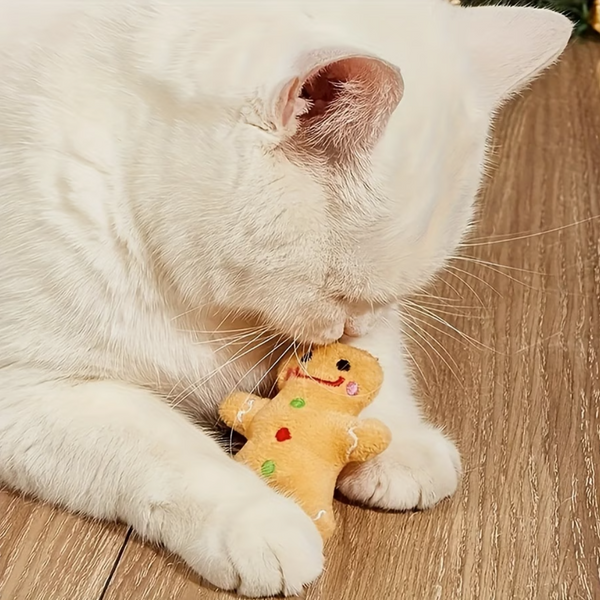 Peluche de Galleta de Jengibre