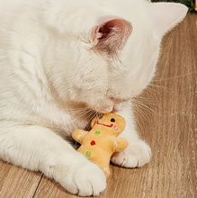 Peluche de Galleta de Jengibre