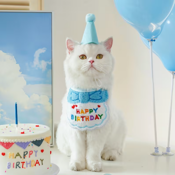 Set Gorrito y Babero De Cumpleaños