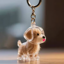 Llavero Para Guardar Pelitos De Tu Perrito