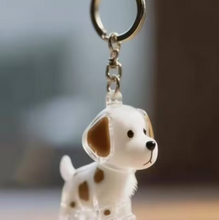 Llavero Para Guardar Pelitos De Tu Perrito
