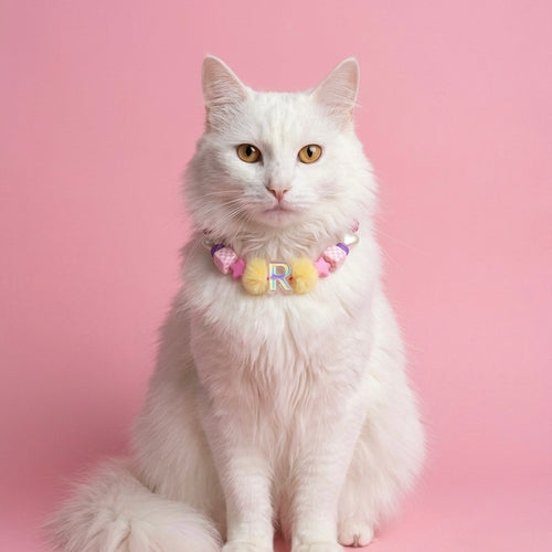 Collar Para Mascota Fucsia