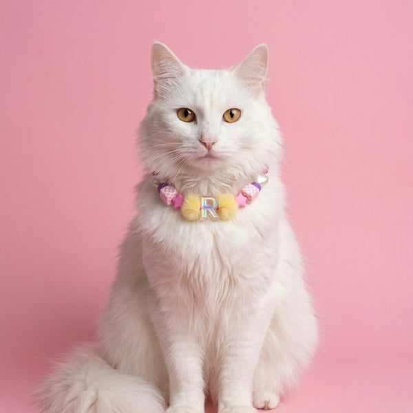 Collar Para Mascota Fucsia