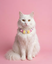 Collar Para Mascota Fucsia