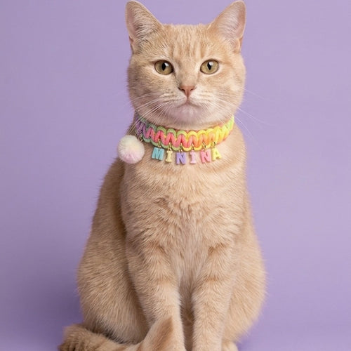 Collar Para Mascota Arcoiris Tejido
