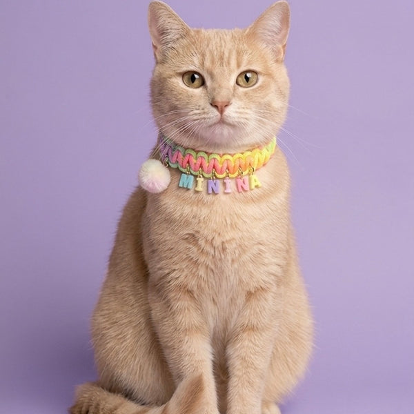 Collar Para Mascota Arcoiris Tejido