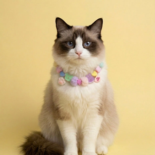 Collar Para Mascota Rosa Neón
