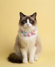 Collar Para Mascota Rosa Neón