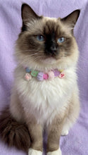 Collar Para Mascota Rosa Neón