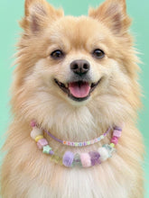 Collar Para Mascota Lila Doble