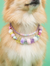 Collar Para Mascota Lila Doble