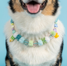 Collar Para Mascota Verde Agua
