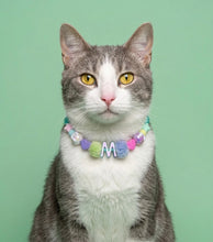 Collar Para Mascota Aguamarina