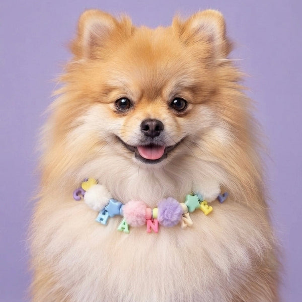 Collar Para Mascota Lila