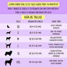 Collar Para Mascota Fucsia