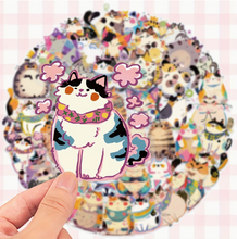 Set x5 stickers de gatito