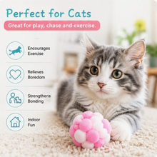 Pelotas de bolitas para gato