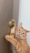 Bolita de Catnip Irresistible